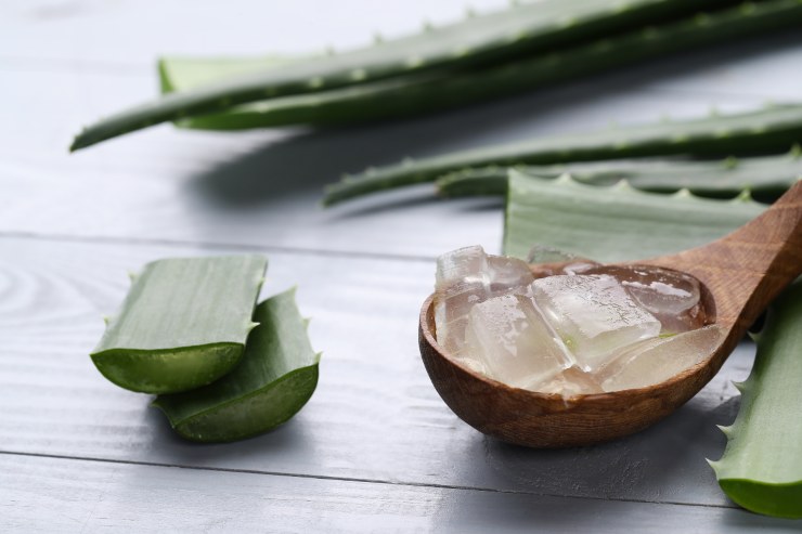 aloe vera e bava di lumaca